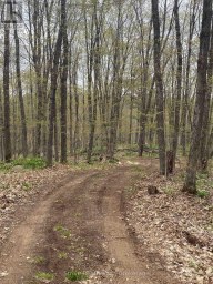 0 KENDRICK CREEK LANE Minden Hills (Minden) Ontario photo 3