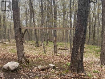 0 KENDRICK CREEK LANE Minden Hills (Minden) Ontario photo 4