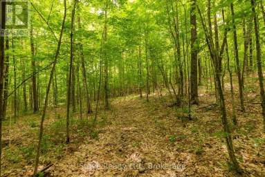 0 KENDRICK CREEK LANE Minden Hills (Minden) Ontario photo 5