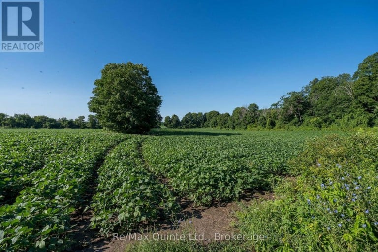0 MARRISETT ROAD, Tweed (Hungerford (Twp)), Ontario, K0K3H0