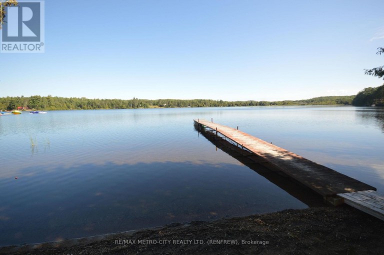 482 CAMERON LAKE ROAD, Brudenell, Lyndoch and Raglan, Ontario, K0J2E0