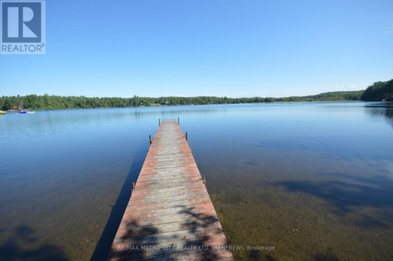 482 CAMERON LAKE ROAD, Brudenell, Lyndoch and Raglan, Ontario, K0J2E0