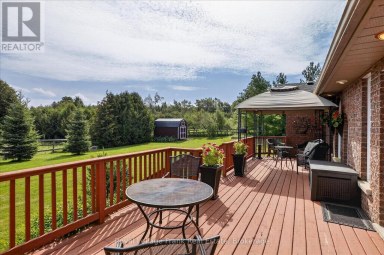2523 ASPHODEL 12TH LINE Asphodel-Norwood Ontario photo 37