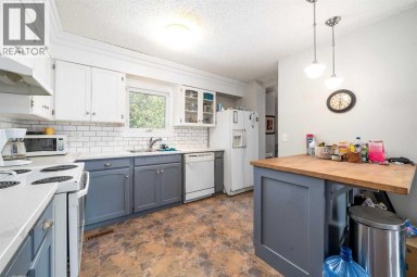 2, 190014 12 Street W Rural Newell, County of Alberta photo 2