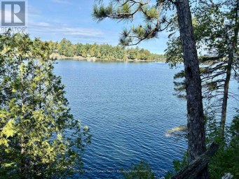 1803 CRYSTAL LAKE ROAD Trent Lakes Ontario photo 28