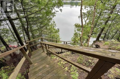 1803 CRYSTAL LAKE ROAD Trent Lakes Ontario photo 32