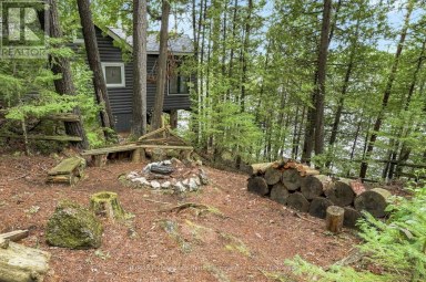 1803 CRYSTAL LAKE ROAD Trent Lakes Ontario photo 33