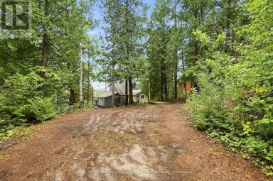 1803 CRYSTAL LAKE ROAD Trent Lakes Ontario photo 34