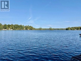 1803 CRYSTAL LAKE ROAD Trent Lakes Ontario photo 43