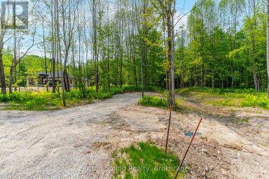 130 MAPLE RIDGE ROAD Georgian Bluffs Ontario photo 2