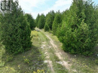 387 SPRY LAKE ROAD South Bruce Peninsula Ontario photo 39