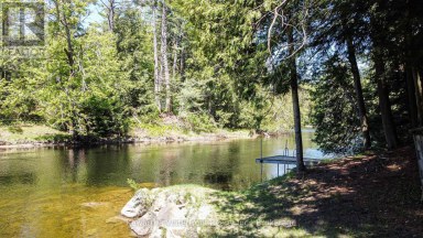 85 NEVISON DRIVE Kawartha Lakes (Laxton/Digby/Longford) Ontario photo 32