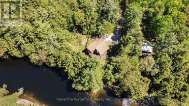85 NEVISON DRIVE Kawartha Lakes (Laxton/Digby/Longford) Ontario photo 33