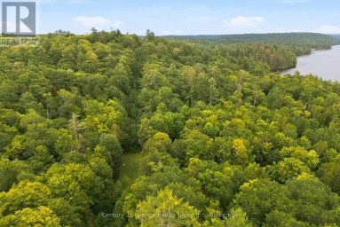 1131 KANAWA LANE Algonquin Highlands (Stanhope) Ontario photo 40