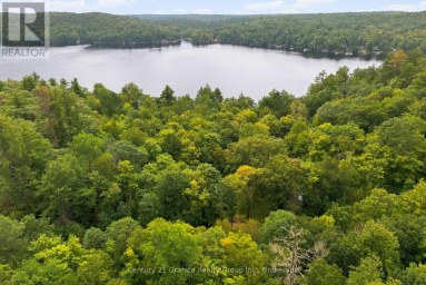1131 KANAWA LANE Algonquin Highlands (Stanhope) Ontario photo 41