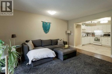 31 Deer Place SE Calgary Alberta photo 21