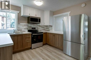 31 Deer Place SE Calgary Alberta photo 7