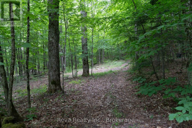 219 ELGIN ROAD, Hastings Highlands (McClure Ward), Ontario, K0L2K0