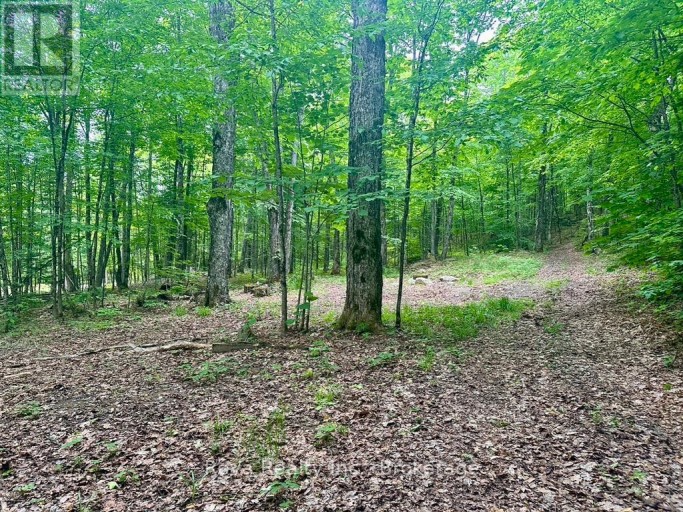 219 ELGIN ROAD, Hastings Highlands (McClure Ward), Ontario, K0L2K0