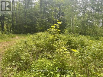 219 ELGIN ROAD Hastings Highlands (McClure Ward) Ontario photo 21