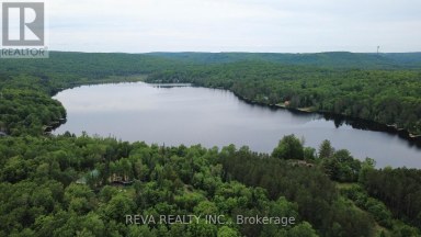 219 ELGIN ROAD Hastings Highlands (McClure Ward) Ontario photo 22