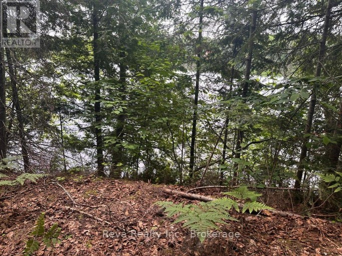 219 ELGIN ROAD, Hastings Highlands (McClure Ward), Ontario, K0L2K0