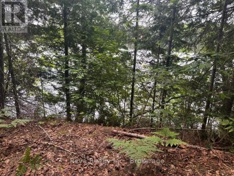 219 ELGIN ROAD Hastings Highlands (McClure Ward) Ontario photo 24
