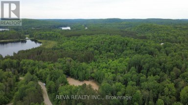 219 ELGIN ROAD Hastings Highlands (McClure Ward) Ontario photo 27