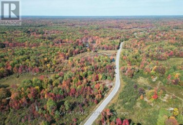 1071 FLINTON ROAD Tweed (Tweed (Village)) Ontario photo 1