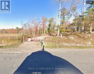 1071 FLINTON ROAD Tweed (Tweed (Village)) Ontario photo 4