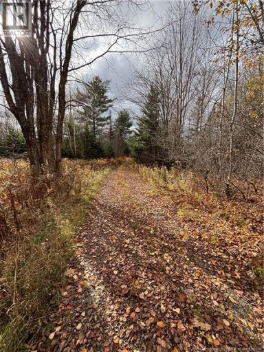 682 Boyd Road, Elmsville, New Brunswick, E5A1M8