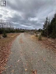 682 Boyd Road Elmsville New Brunswick photo 5