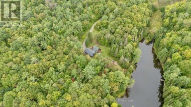 1452 BLAIRHAMPTON ROAD Minden Hills (Minden) Ontario photo 37