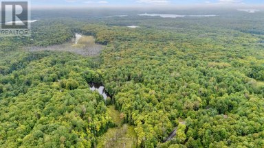 1452 BLAIRHAMPTON ROAD Minden Hills (Minden) Ontario photo 40