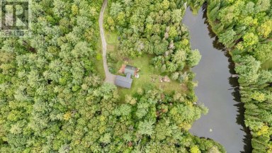 1452 BLAIRHAMPTON ROAD Minden Hills (Minden) Ontario photo 6