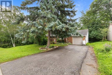 98 DON MOR DRIVE Newmarket (Central Newmarket) Ontario photo 3