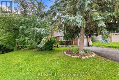 98 DON MOR DRIVE Newmarket (Central Newmarket) Ontario photo 5