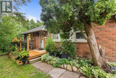 98 DON MOR DRIVE Newmarket (Central Newmarket) Ontario photo 7