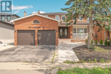 8173 MARTIN GROVE ROAD Vaughan (West Woodbridge) Ontario photo 3