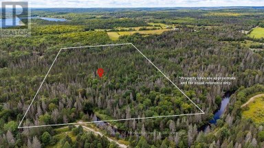 0 KENT ROAD Armour Ontario photo 1