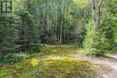 0 KENT ROAD Armour Ontario photo 8