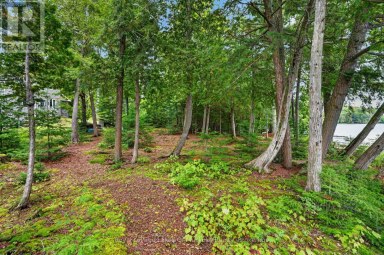 49 WOLF TRAIL Perry Ontario photo 39