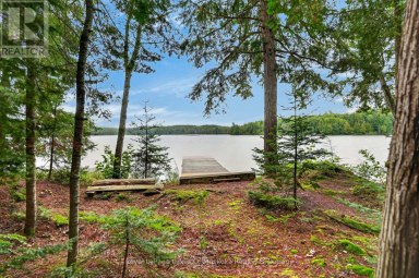 49 WOLF TRAIL Perry Ontario photo 40