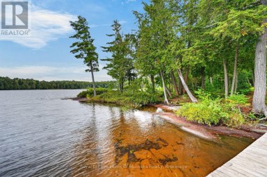 49 WOLF TRAIL Perry Ontario photo 41
