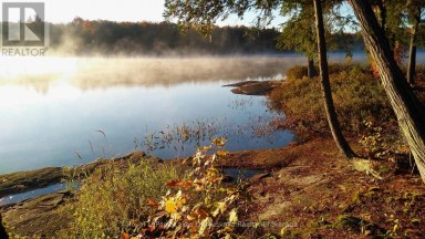49 WOLF TRAIL Perry Ontario photo 45