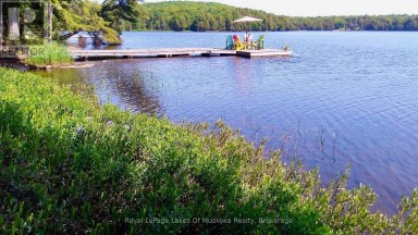 49 WOLF TRAIL Perry Ontario photo 47