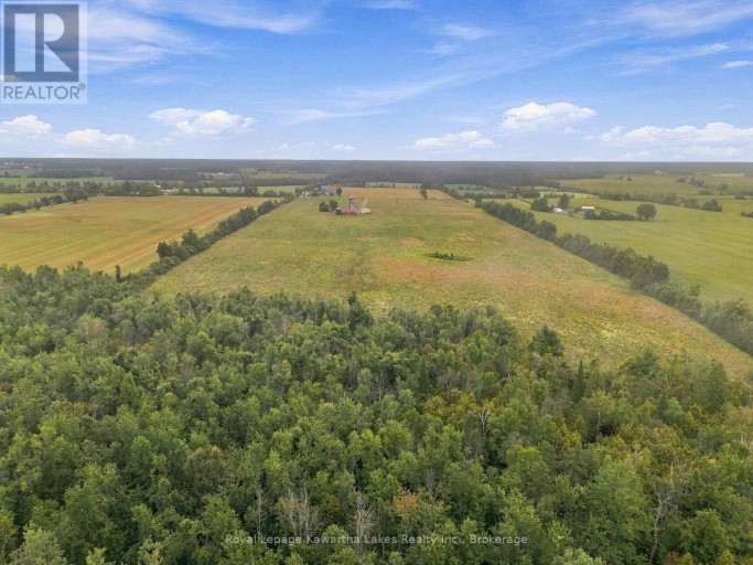 583 HILLHEAD ROAD, Kawartha Lakes (Ops), Ontario, K0L2X0