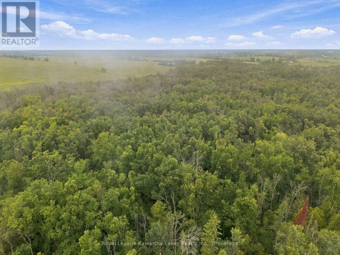 583 HILLHEAD ROAD, Kawartha Lakes (Ops), Ontario, K0L2X0