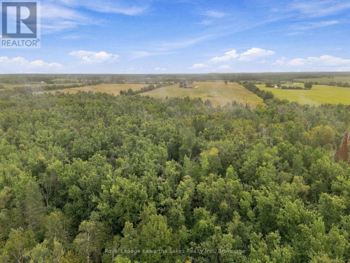 583 HILLHEAD ROAD, Kawartha Lakes (Ops), Ontario, K0L2X0