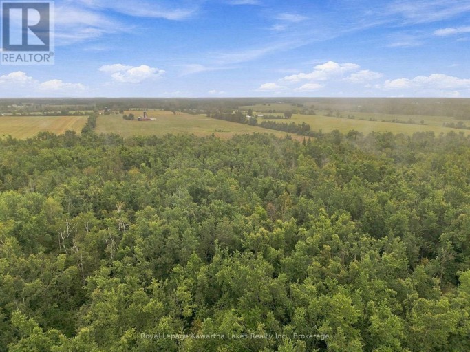 583 HILLHEAD ROAD, Kawartha Lakes (Ops), Ontario, K0L2X0